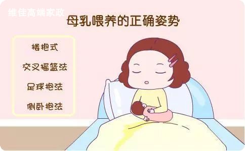 北京正規(guī)的月嫂公司